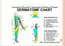 [간호학]Spine injuyr 5페이지