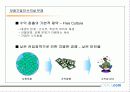 사업 아이템 발굴 및 계획서 작성 요령 4페이지