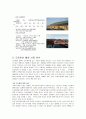 HJC 마케팅, 성공사례, 마케팅전략, 성공전략, 경영전략분석, 기업소개 및 역사와 특징소개, 경영전략분석, 성공사례, 성공전략, 마케팅전략, STP전략, SWOT분석, 4P전략, 개선점 9페이지