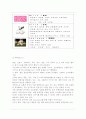 오로라 월드 마케팅, 성공사례, 마케팅전략, 성공전략, 경영전략분석, 기업소개 및 역사와 특징소개, 경영전략분석, 성공사례, 성공전략, 마케팅전략, STP전략, SWOT분석, 4P전략, 개선점 10페이지