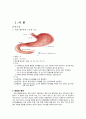 [성인간호학] Malignant neoplasm of Stomach Cancer(위암) 케이스 스터디 3페이지