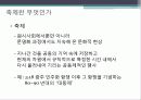현대사회와 축제 3페이지