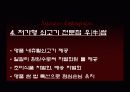 매스티지 마케팅 (Masstige Marketing) 13페이지