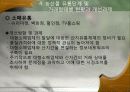 그린마케팅 17페이지