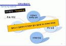 [마케팅 조사론] 삼성 ‘넷북(NETBOOK)’마케팅 19페이지