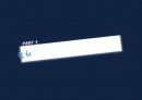 [마케팅 조사론] 삼성 ‘넷북(NETBOOK)’마케팅 48페이지