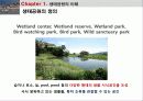 습지생태관광,을숙도,생태관광,철새,마케팅,브랜드,브랜드마케팅,기업,서비스마케팅,글로벌,경영,시장,사례,swot,stp,4p-생태공원의 이해 5페이지