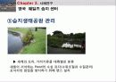 습지생태관광,을숙도,생태관광,철새,마케팅,브랜드,브랜드마케팅,기업,서비스마케팅,글로벌,경영,시장,사례,swot,stp,4p-생태공원의 이해 13페이지