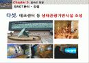 습지생태관광,을숙도,생태관광,철새,마케팅,브랜드,브랜드마케팅,기업,서비스마케팅,글로벌,경영,시장,사례,swot,stp,4p-생태공원의 이해 20페이지