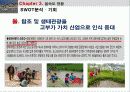 습지생태관광,을숙도,생태관광,철새,마케팅,브랜드,브랜드마케팅,기업,서비스마케팅,글로벌,경영,시장,사례,swot,stp,4p-생태공원의 이해 28페이지