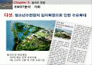 습지생태관광,을숙도,생태관광,철새,마케팅,브랜드,브랜드마케팅,기업,서비스마케팅,글로벌,경영,시장,사례,swot,stp,4p-생태공원의 이해 31페이지
