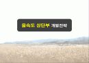 습지생태관광,을숙도,생태관광,철새,마케팅,브랜드,브랜드마케팅,기업,서비스마케팅,글로벌,경영,시장,사례,swot,stp,4p-생태공원의 이해 37페이지