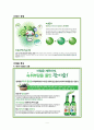마케팅전략분석,소주,마케팅,브랜드,브랜드마케팅,기업,서비스마케팅,글로벌,경영,시장,사례,swot,stp,4p 4페이지