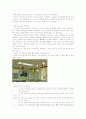 유아교육,유아실태,유아시설설비,안전사고,안전관리,안전전점검 10페이지