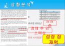 박카스,마케팅,브랜드,브랜드마케팅,기업,서비스마케팅,글로벌,경영,시장,사례,swot,stp,4p 8페이지