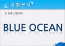 박카스,마케팅,브랜드,브랜드마케팅,기업,서비스마케팅,글로벌,경영,시장,사례,swot,stp,4p 9페이지