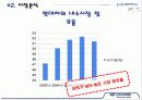 현대자동차,마케팅,브랜드,브랜드마케팅,기업,서비스마케팅,글로벌,경영,시장,사례 11페이지
