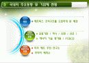 매트릭스조직,ABB,하나금융지주,마케팅,브랜드,브랜드마케팅,기업,서비스마케팅,글로벌,경영,시장,사례 13페이지