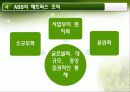 매트릭스조직,ABB,하나금융지주,마케팅,브랜드,브랜드마케팅,기업,서비스마케팅,글로벌,경영,시장,사례 28페이지