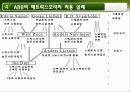매트릭스조직,ABB,하나금융지주,마케팅,브랜드,브랜드마케팅,기업,서비스마케팅,글로벌,경영,시장,사례 29페이지