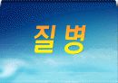 질병,범죄,에이즈,마약,전쟁,인간,피해사례 3페이지