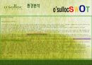 오설록마케팅사례,해외시장,마케팅,브랜드,브랜드마케팅,기업,서비스마케팅,글로벌,경영,시장,사례,swot,stp,4p 18페이지