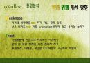 오설록마케팅사례,해외시장,마케팅,브랜드,브랜드마케팅,기업,서비스마케팅,글로벌,경영,시장,사례,swot,stp,4p 20페이지