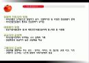 캐주얼 다이닝 레스토랑  14페이지