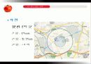 캐주얼 다이닝 레스토랑  37페이지