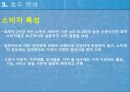 호주 서비스 마케팅 - World Delivery Service Marketing 13페이지