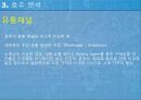 호주 서비스 마케팅 - World Delivery Service Marketing 14페이지