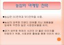 농심과 삼양 19페이지