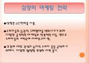 농심과 삼양 20페이지