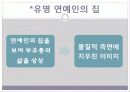  -주거공간으로 보는 사회의 차별적 : 래미안,푸르지오,롯데캐슬 16페이지