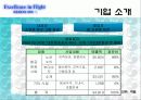 대한항공 마케팅 전략 4페이지