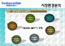 대한항공 마케팅 전략 12페이지