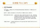 미스터피자,도미노피자,피자헛,마케팅,브랜드,브랜드마케팅,기업,서비스마케팅,글로벌,경영,시장,사례,swot,stp,4p 26페이지