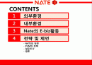 네이트,마케팅,브랜드,브랜드마케팅,기업,서비스마케팅,글로벌,경영,시장,사례,swot,stp,4p 2페이지