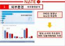 네이트,마케팅,브랜드,브랜드마케팅,기업,서비스마케팅,글로벌,경영,시장,사례,swot,stp,4p 6페이지