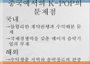 중국에서의 한류 31페이지
