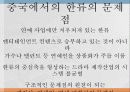 중국에서의 한류 48페이지