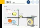 음식물쓰레기 처리기 “루펜(Loofen)”의 마케팅 성공 사례 및 마케팅 전략제안 26페이지