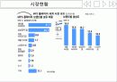 아이리버(iriver) 마케팅,브랜드마케팅,아이리버기업분석,아이리버마케팅전략,브랜드전략,시장분석,SWOT,STP 11페이지