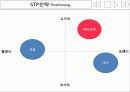 아이리버(iriver) 마케팅,브랜드마케팅,아이리버기업분석,아이리버마케팅전략,브랜드전략,시장분석,SWOT,STP 16페이지
