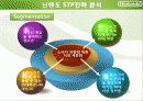닌텐도마케팅전략,마케팅,브랜드,브랜드마케팅,기업,서비스마케팅,글로벌,경영,시장,사례,swot,stp,4p 13페이지