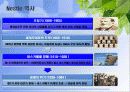 국제기업,국제경영,네슬레,마케팅,브랜드,브랜드마케팅,기업,서비스마케팅,글로벌,경영,시장,사례,swot,stp,4p 6페이지