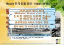 국제기업,국제경영,네슬레,마케팅,브랜드,브랜드마케팅,기업,서비스마케팅,글로벌,경영,시장,사례,swot,stp,4p 26페이지