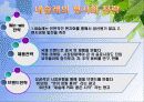 국제기업,국제경영,네슬레,마케팅,브랜드,브랜드마케팅,기업,서비스마케팅,글로벌,경영,시장,사례,swot,stp,4p 39페이지