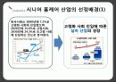 서비스마케팅사례,4g lte,마케팅,브랜드,브랜드마케팅,기업,서비스마케팅,글로벌,경영,시장,사례,swot,stp,4p 35페이지