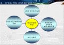 대한항공 환경 마케팅 12페이지